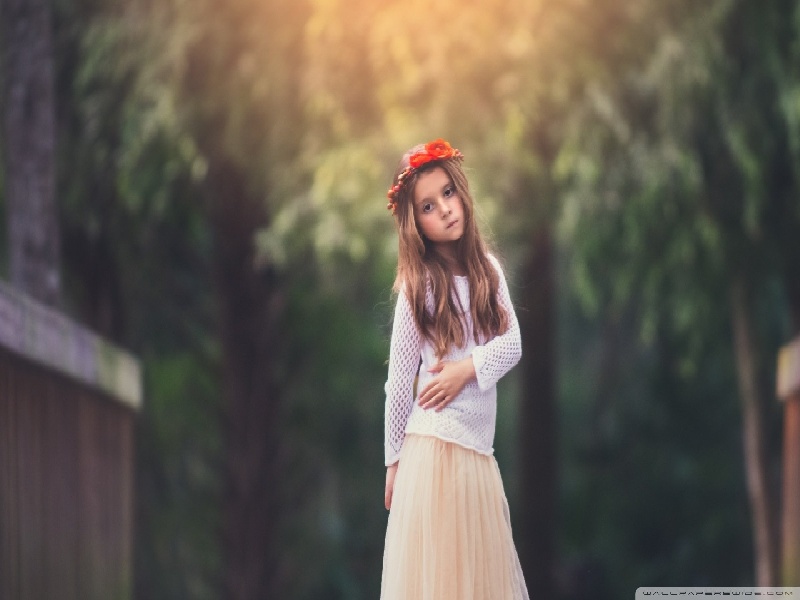 甲鱼试管婴儿试管移植的测试试管记录本